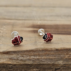 BROQUEL CATRINA PLATA .925