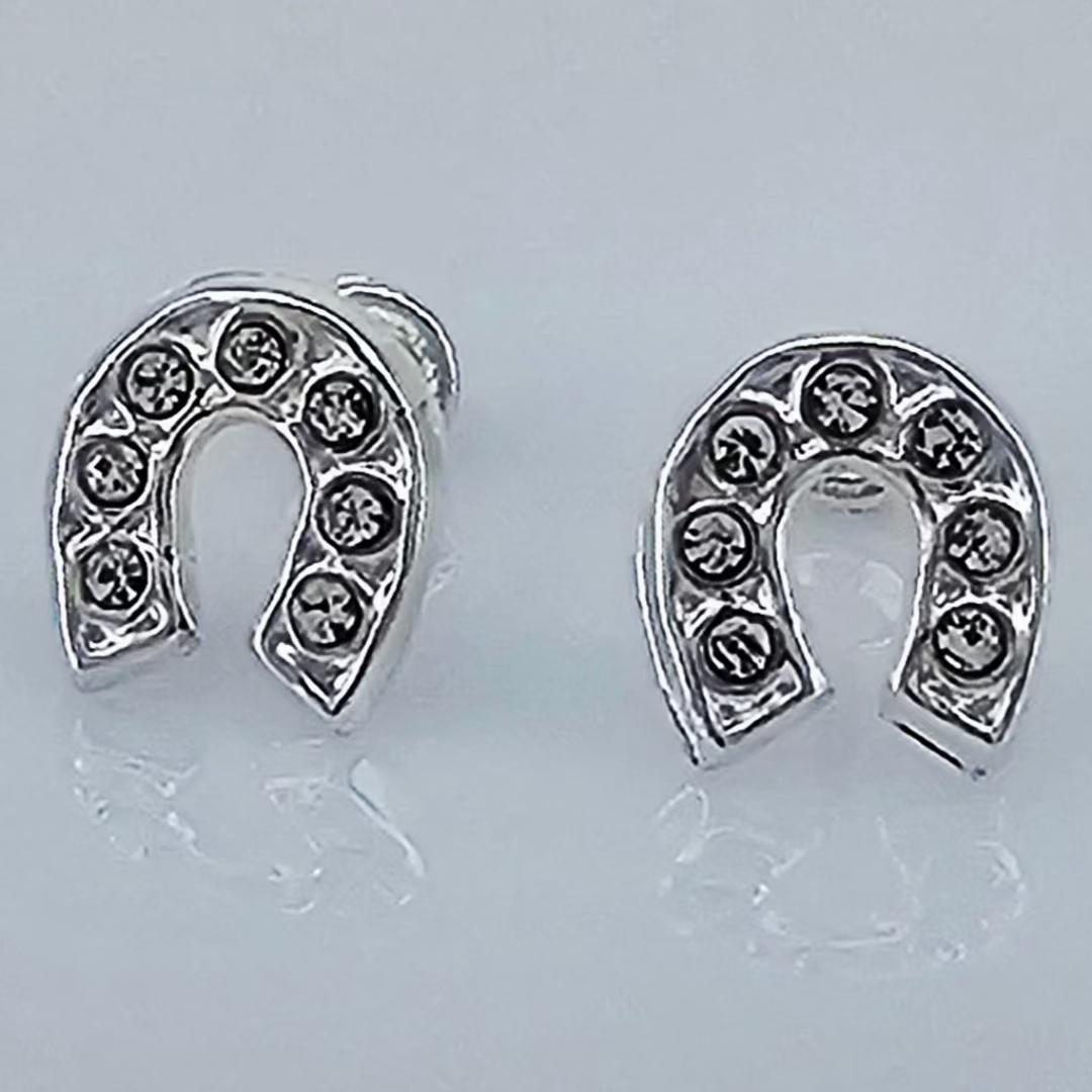 BROQUEL HERRADURA C /PP PLATA .925