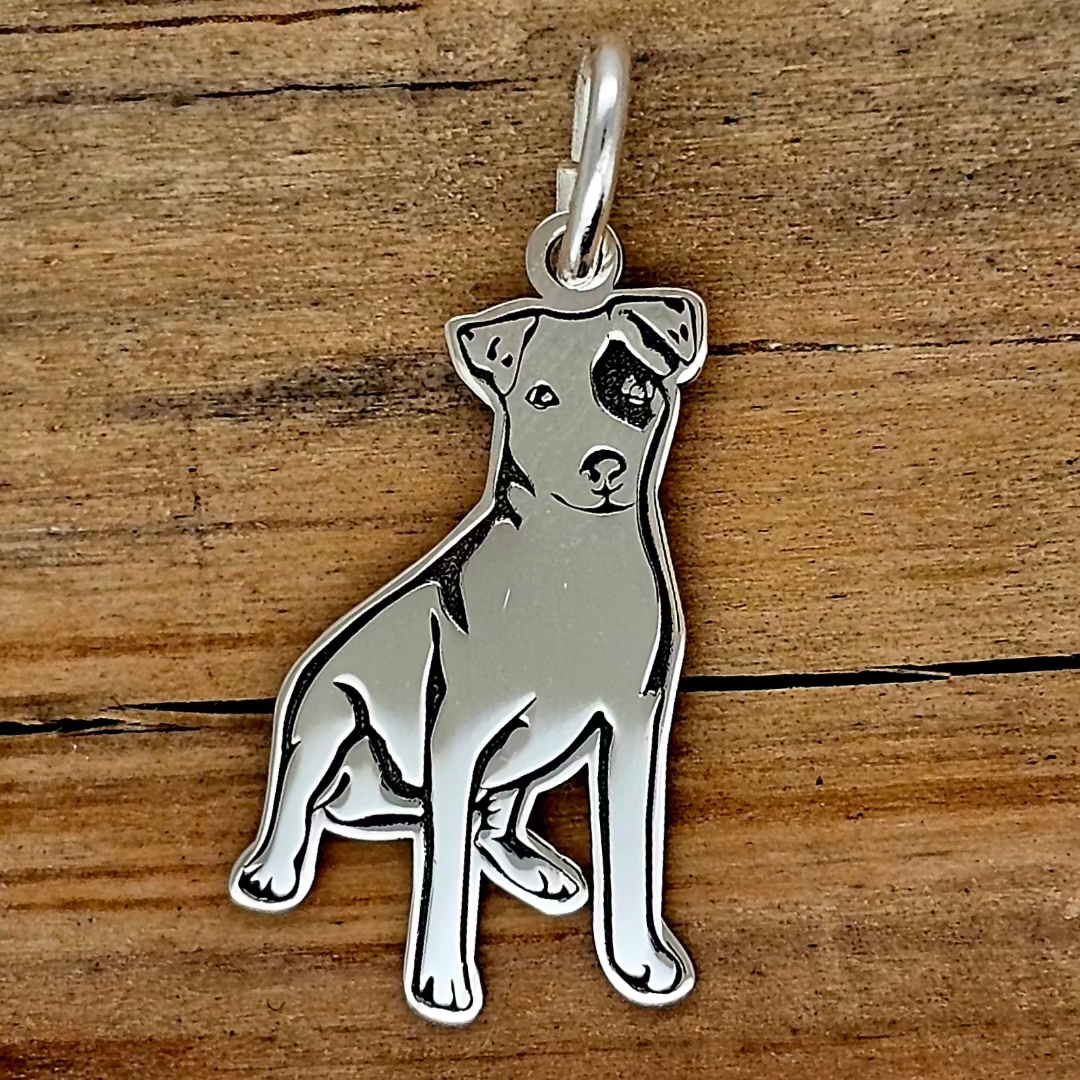 DIJE PERRO PITBULL PLATA .925